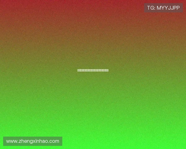 枪侠：不只是一场电影，更是一种精神的传承